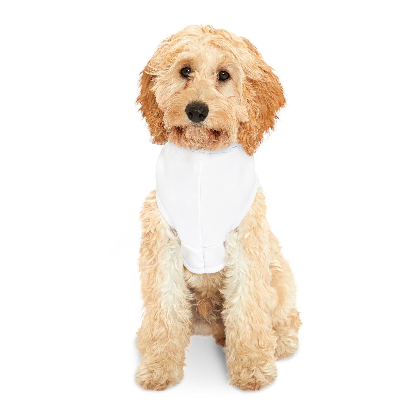 Cozy Emotional Support Dog Pet Hoodie by Kazikon, Therapy Animal Sweatshirt, Comforting Pet Apparel, Mental Health Comfort Hoodie, Cute ESA