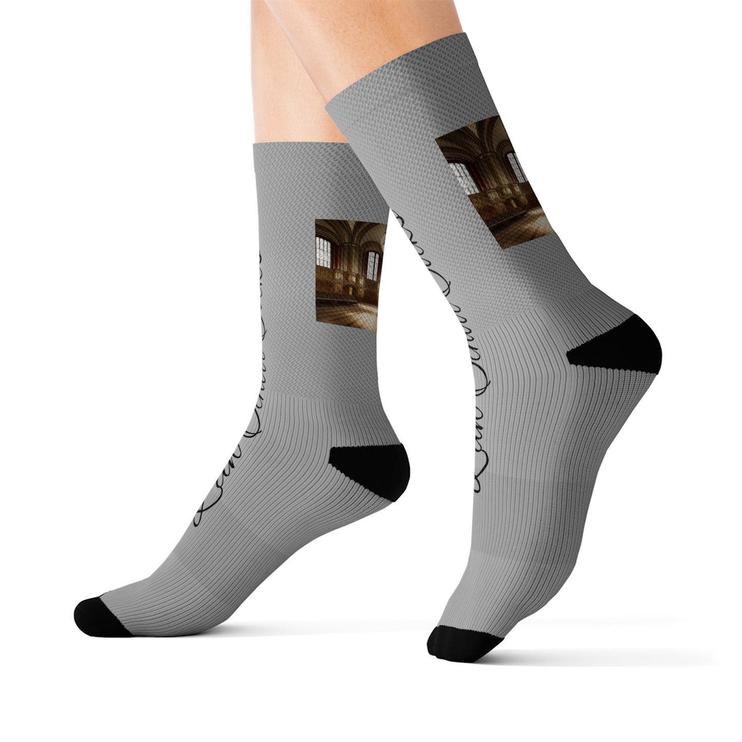 Law School Socks
